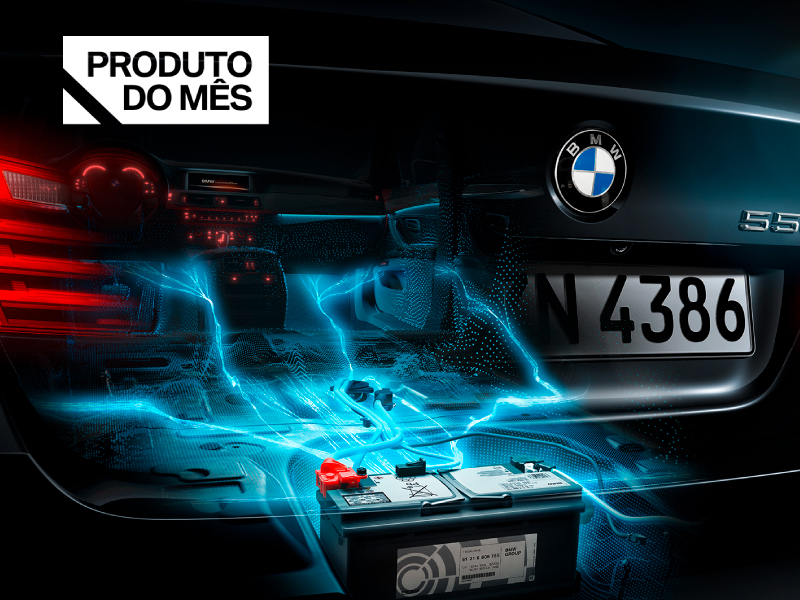 2614_site-bmw-800x600.webp