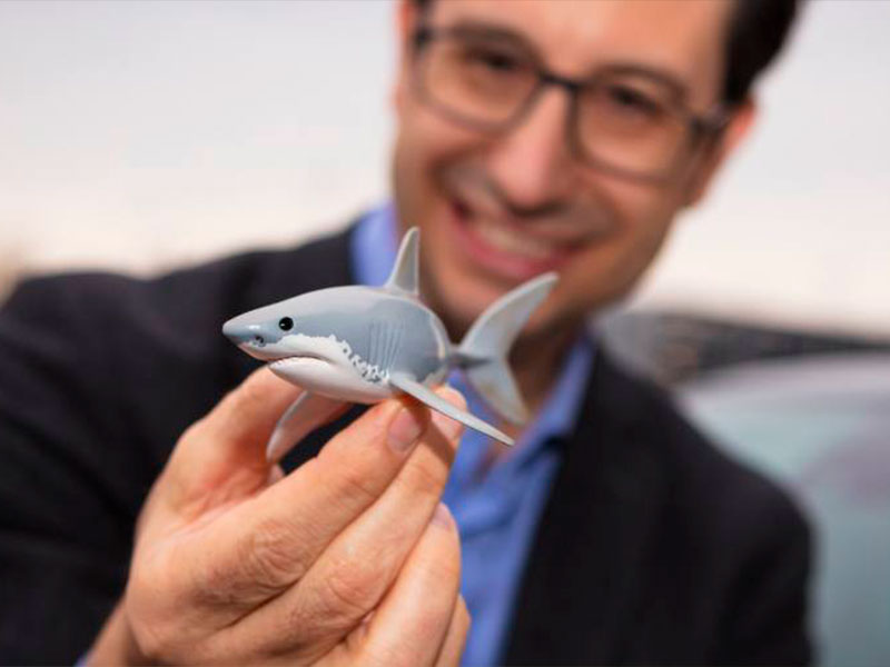 Atração pelo mar: o tubarão é um ‘culto’ na Opel